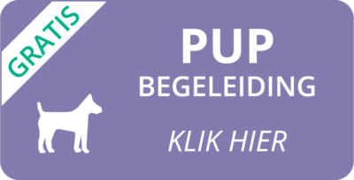Gratis PUPbegeleiding